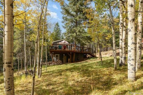 8991 Rex Lane Conifer CO 80433