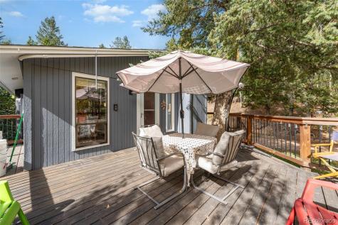 8991 Rex Lane Conifer CO 80433