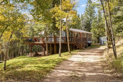 8991 Rex Lane Conifer CO 80433