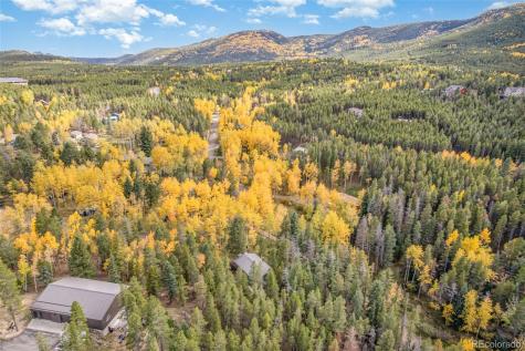 8991 Rex Lane Conifer CO 80433