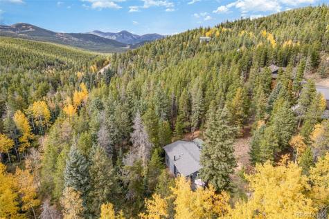 8991 Rex Lane Conifer CO 80433