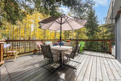 8991 Rex Lane Conifer CO 80433