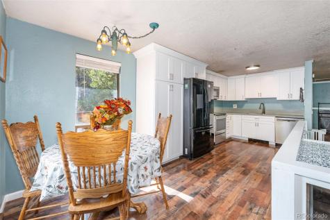 8991 Rex Lane Conifer CO 80433