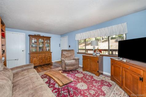 8991 Rex Lane Conifer CO 80433