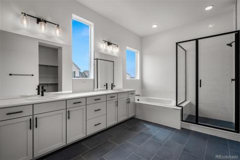 17209 Alsike Clover Court Monument CO 80132