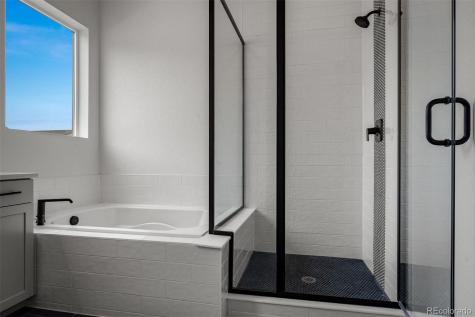 17209 Alsike Clover Court Monument CO 80132