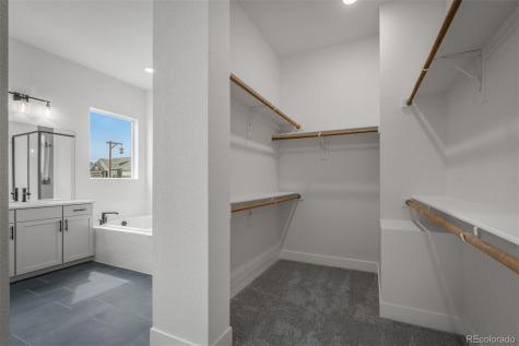 17209 Alsike Clover Court Monument CO 80132