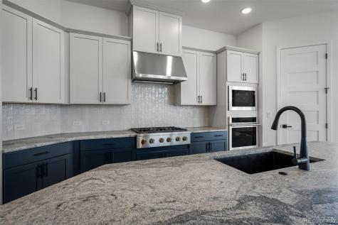 17209 Alsike Clover Court Monument CO 80132