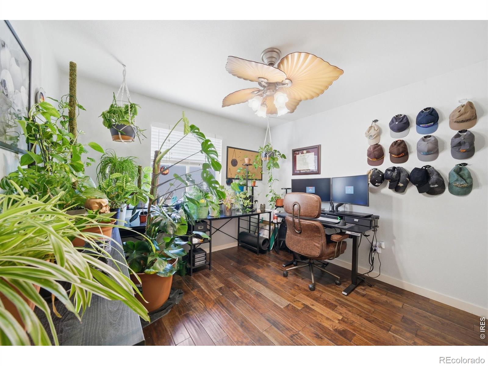 735 Breccia Avenue Loveland CO 80537