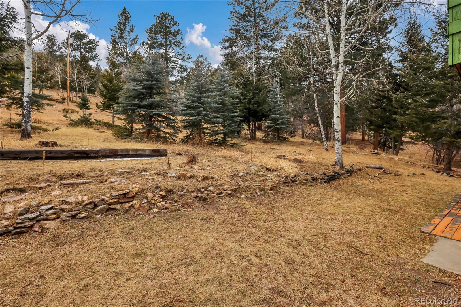 55 Meadow View Drive Evergreen CO 80439