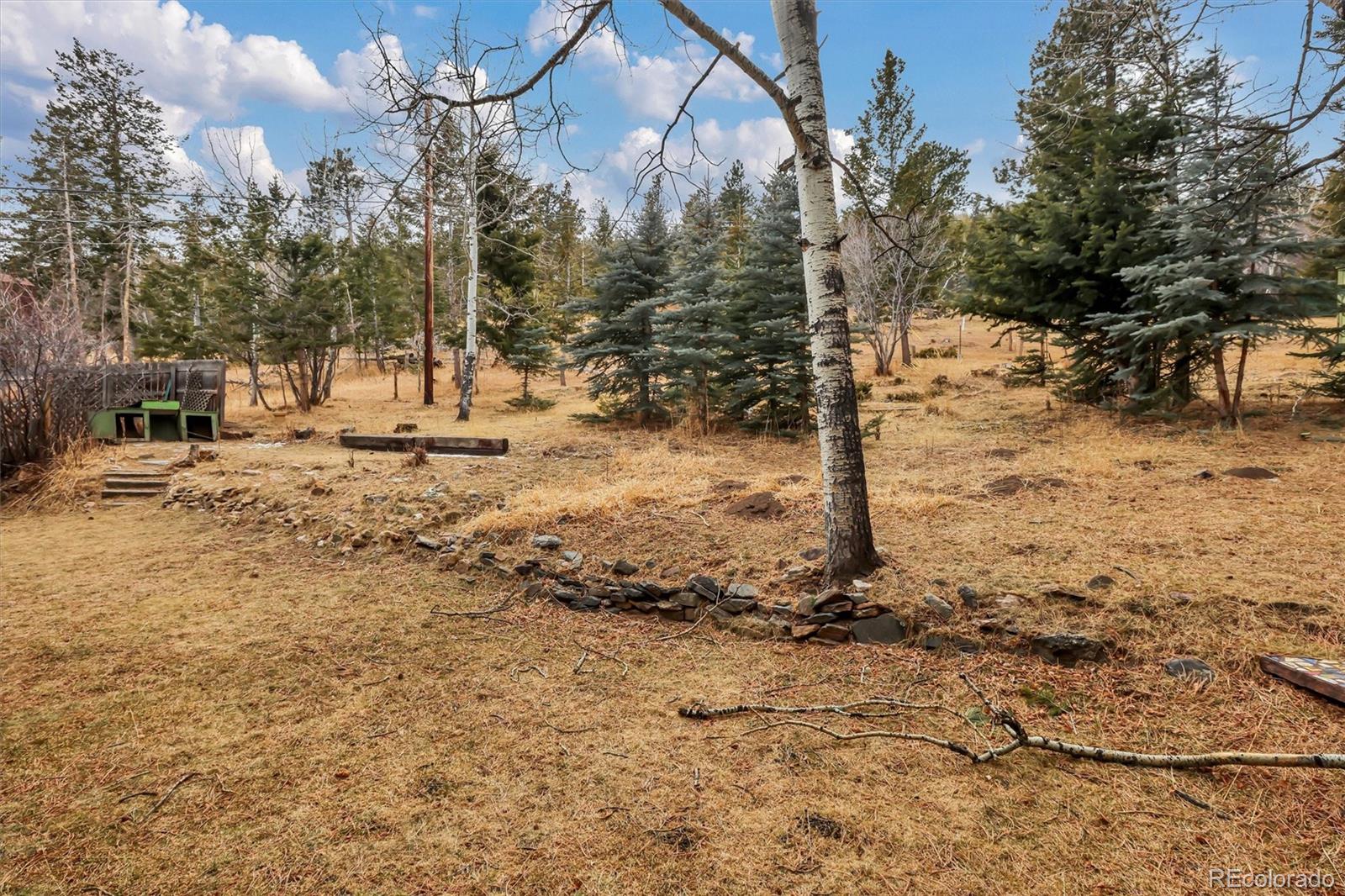 55 Meadow View Drive Evergreen CO 80439