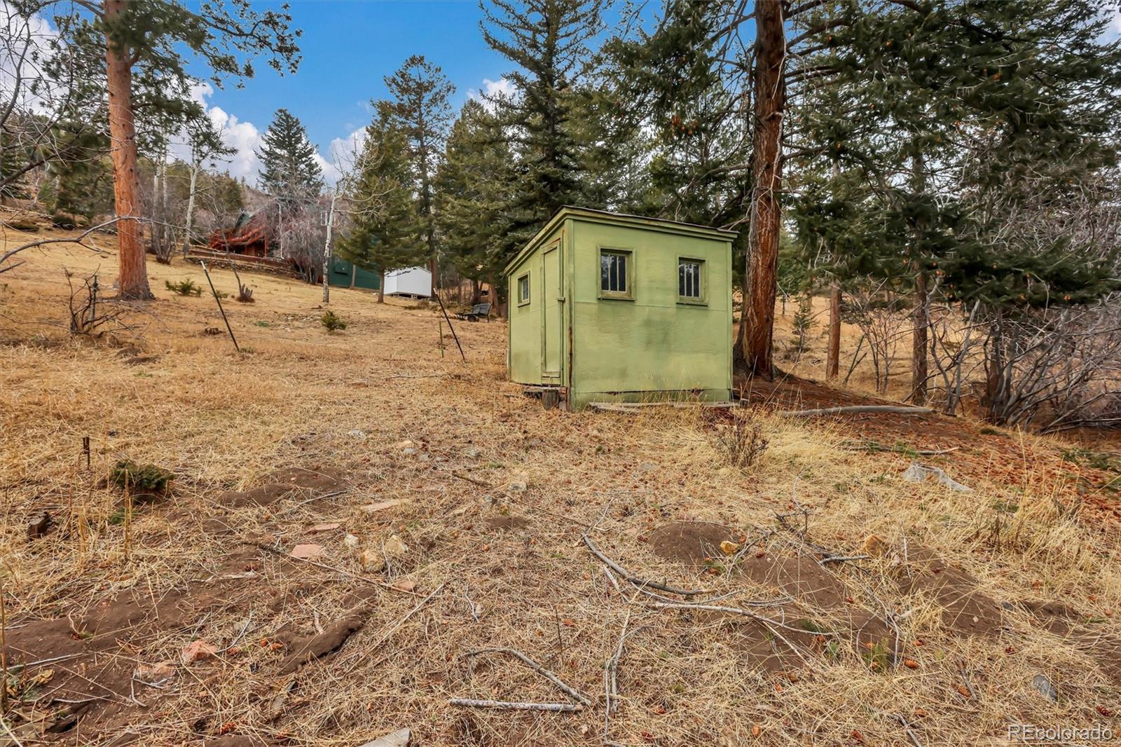 55 Meadow View Drive Evergreen CO 80439
