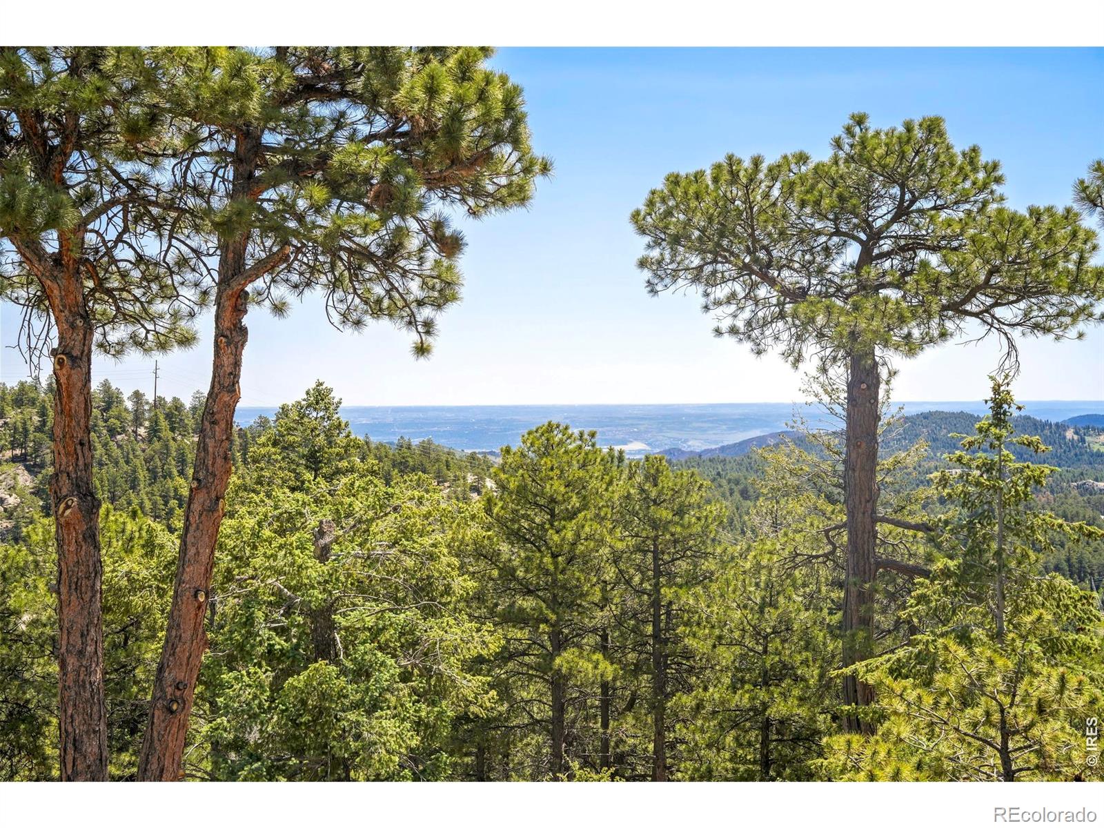 24043 Eagle Cliff Trail Conifer CO 80433