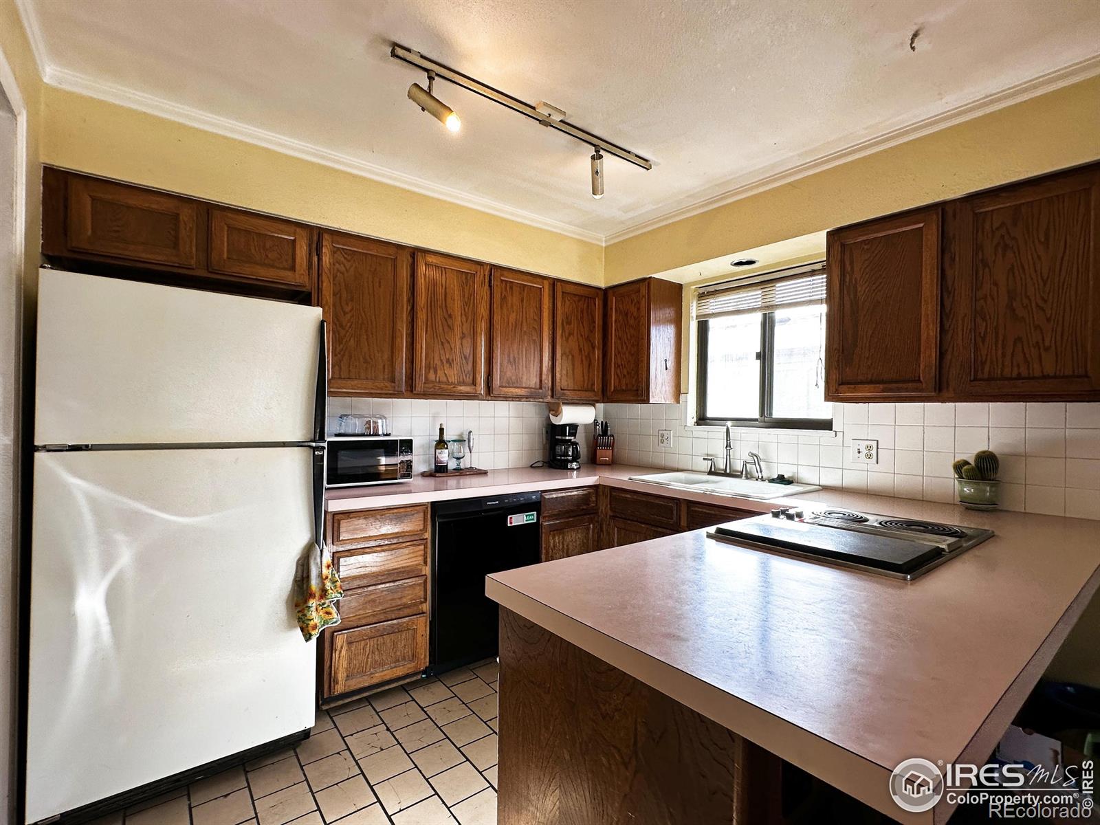 2421 Oleander Court Loveland CO 80538