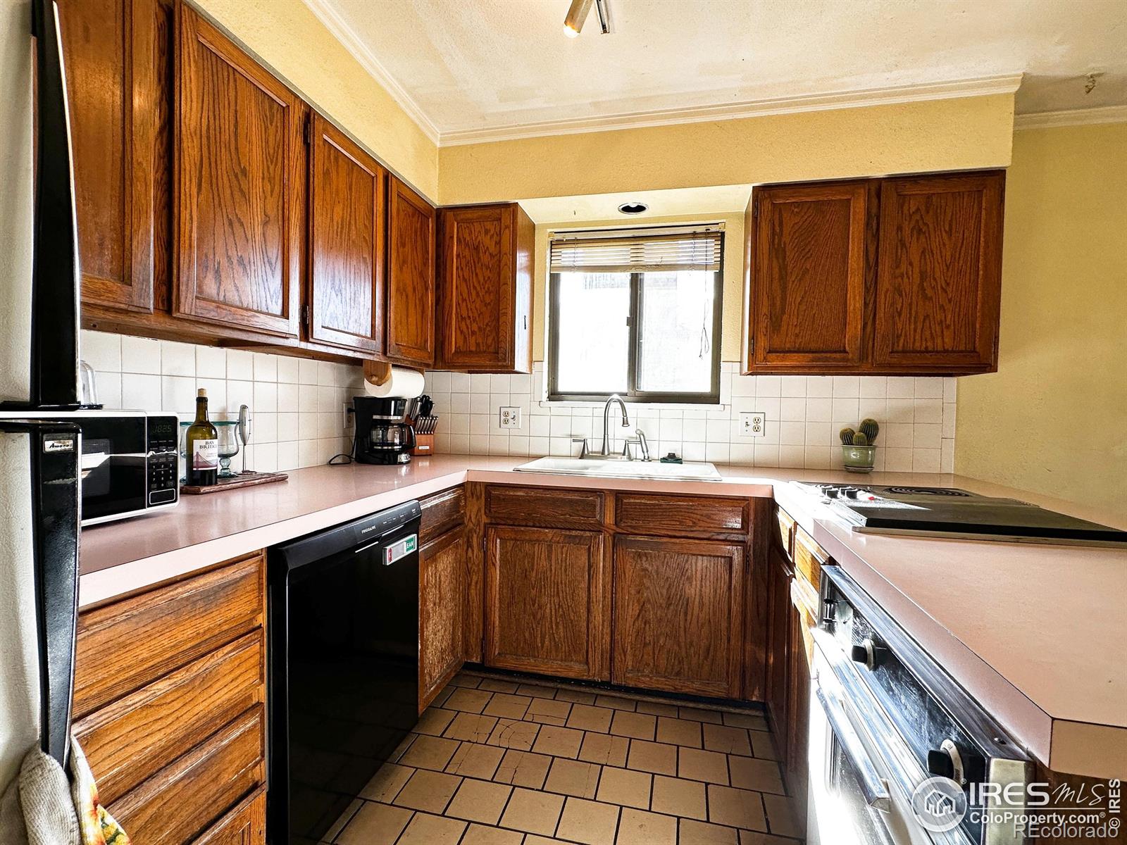 2421 Oleander Court Loveland CO 80538