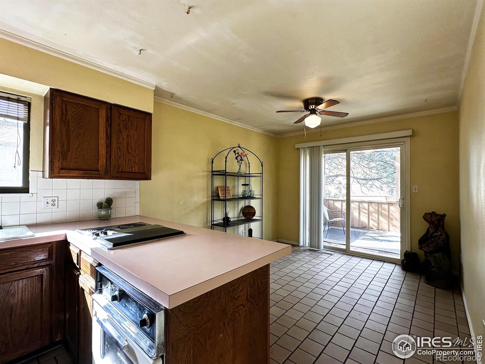 2421 Oleander Court Loveland CO 80538