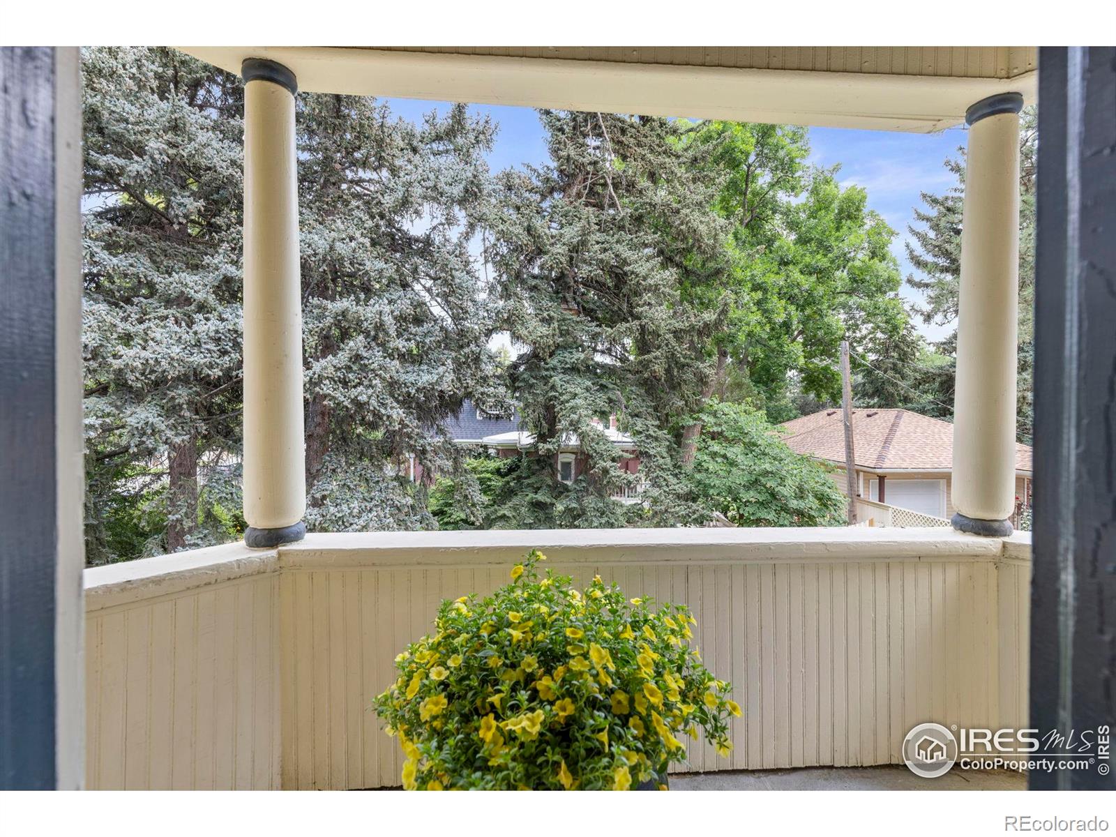 831 4th Avenue Longmont CO 80501