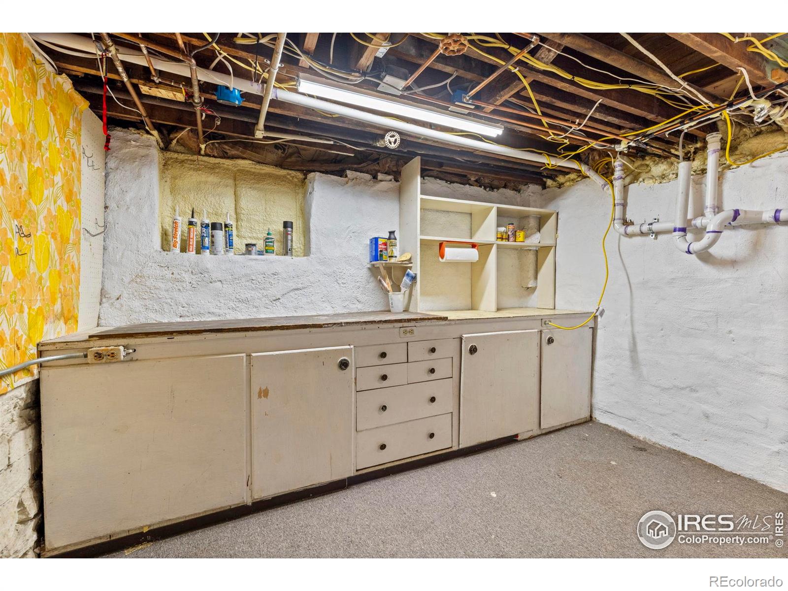 831 4th Avenue Longmont CO 80501