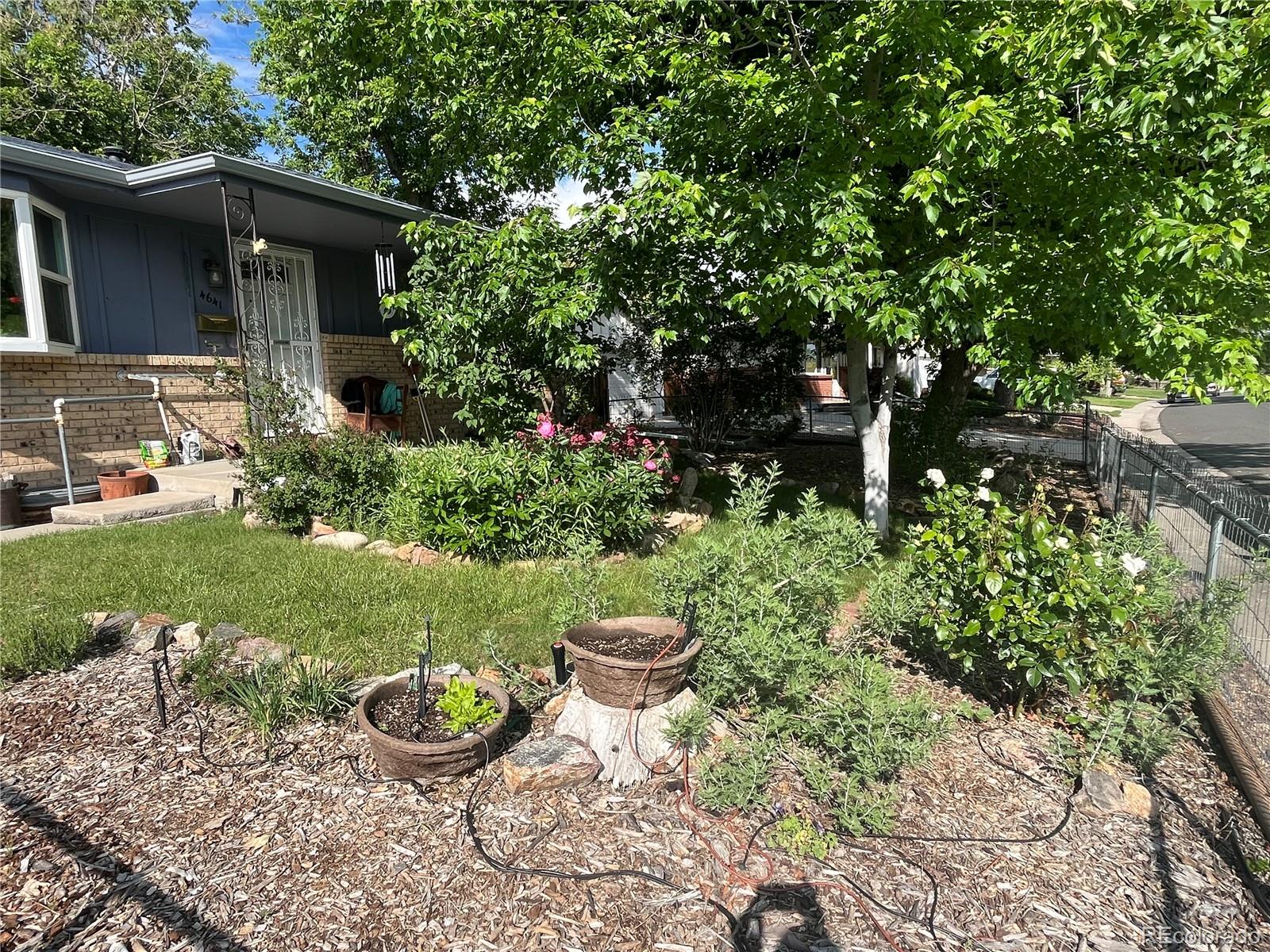 4641 Dixon Drive Westminster CO 80031