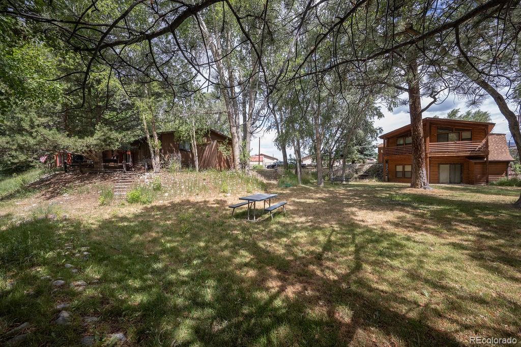 121 Brookdale Buena Vista CO 81211