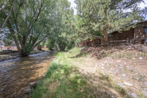 121 Brookdale Buena Vista CO 81211