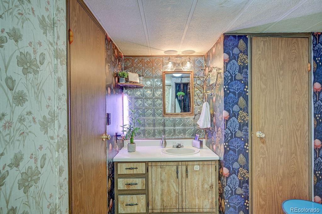121 Brookdale Buena Vista CO 81211