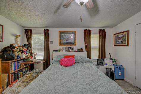 121 Brookdale Buena Vista CO 81211