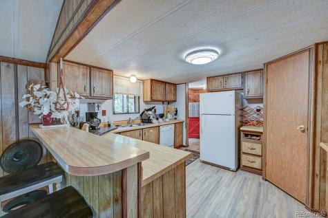 121 Brookdale Buena Vista CO 81211