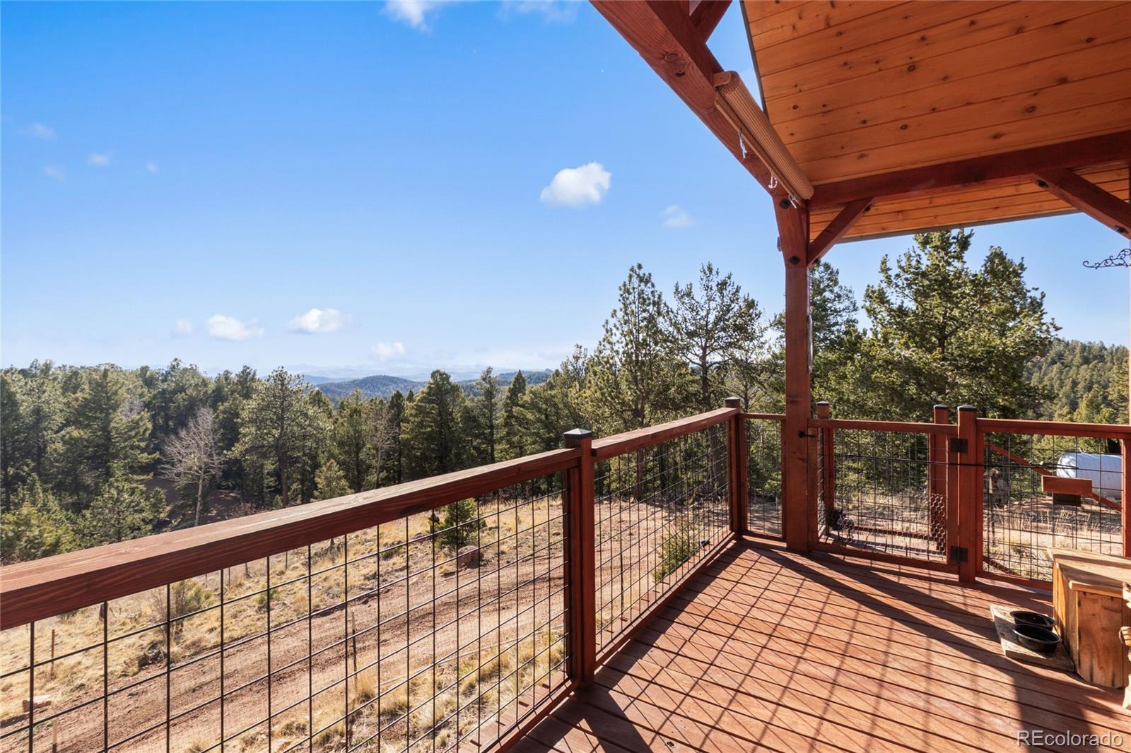 714 Woodrock Way Divide CO 80814