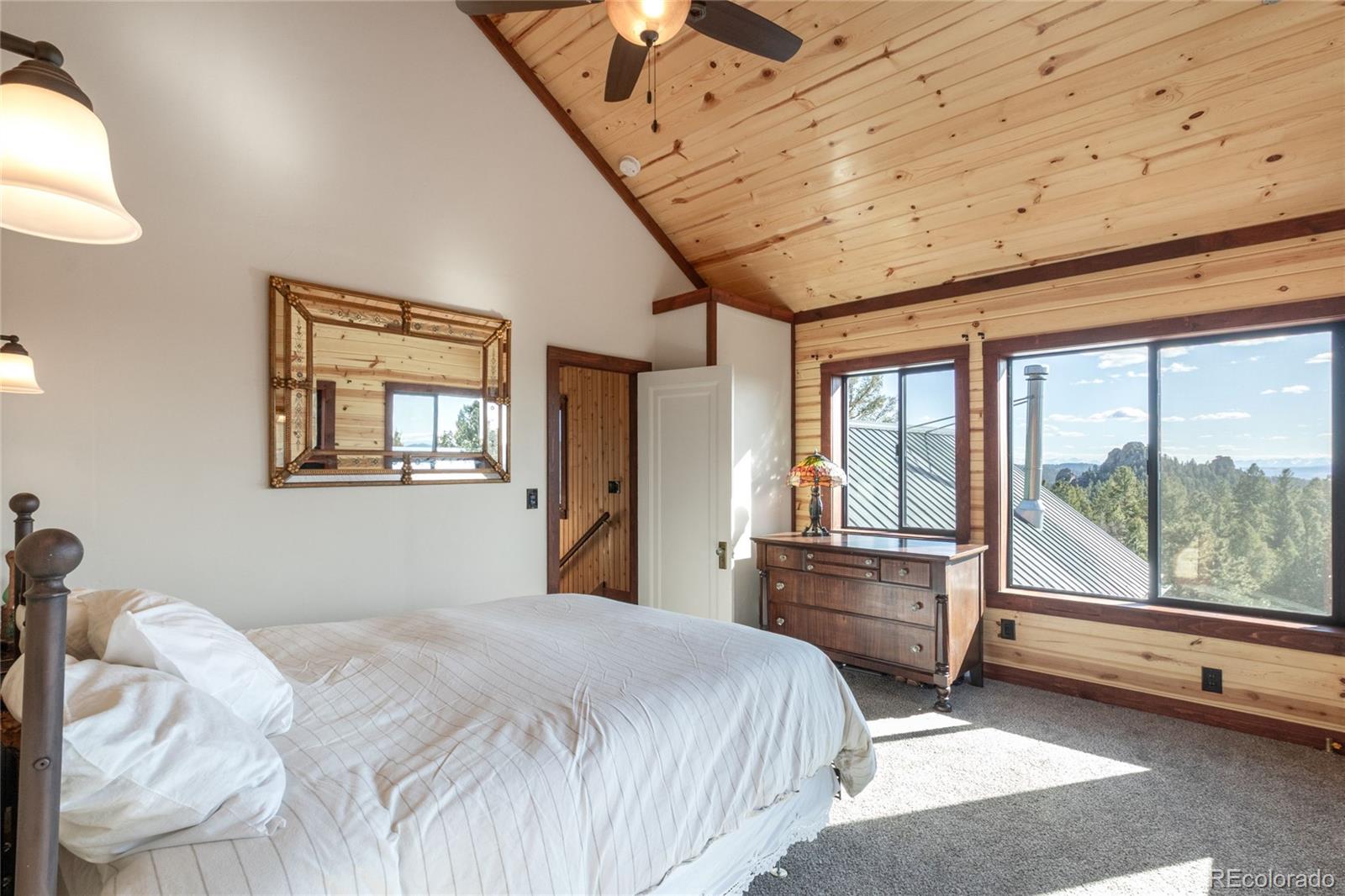 714 Woodrock Way Divide CO 80814