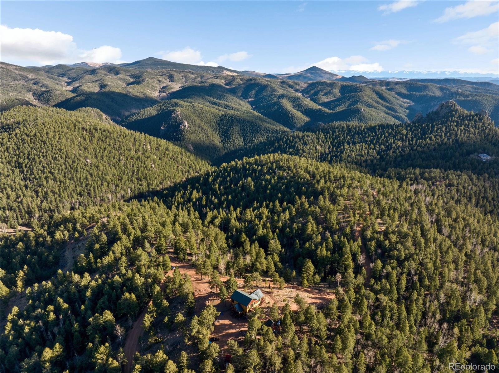 714 Woodrock Way Divide CO 80814