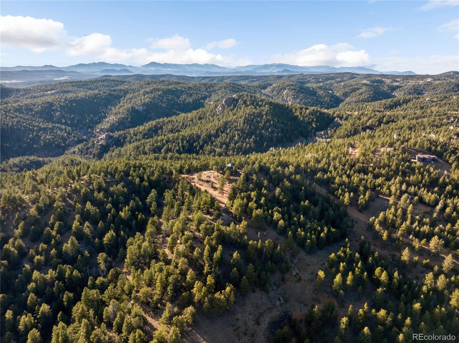 714 Woodrock Way Divide CO 80814
