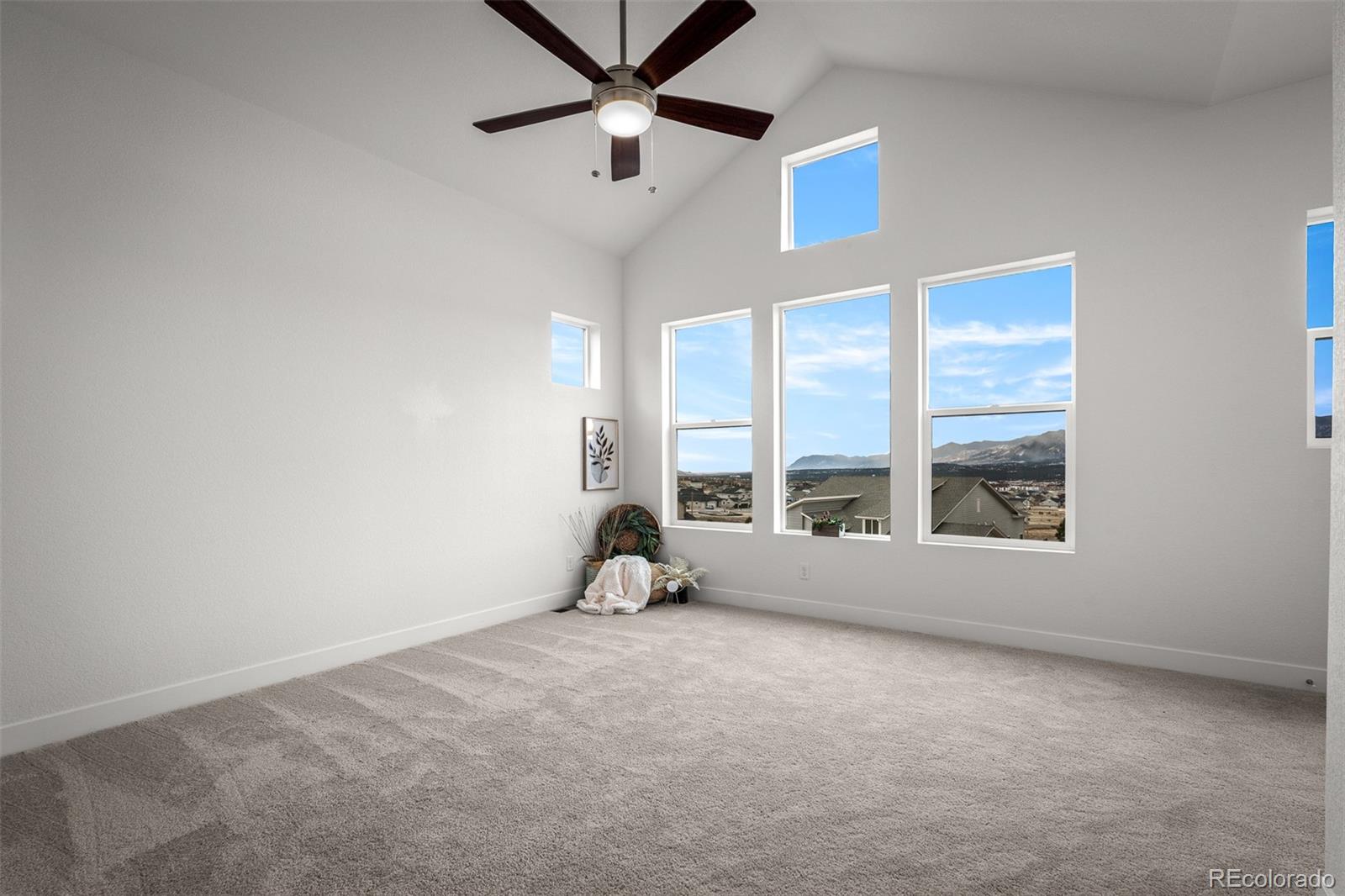 17122 Alsike Clover Court Monument CO 80132