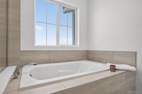 3721 Rucksack Court Castle Rock CO 80108