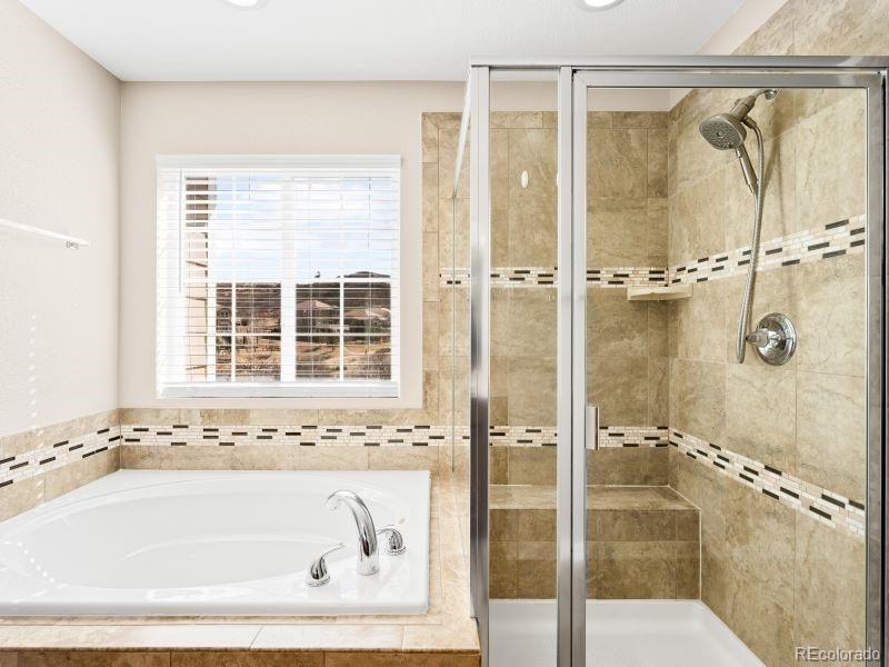 1156 Raindrop Way Castle Rock CO 80109