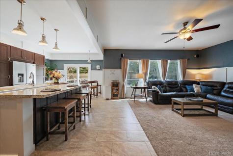 22240 Pebble Brook Lane Parker CO 80138