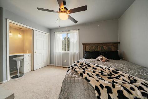 22240 Pebble Brook Lane Parker CO 80138