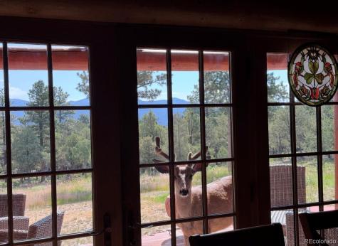 234 Bremer Road Howard CO 81233