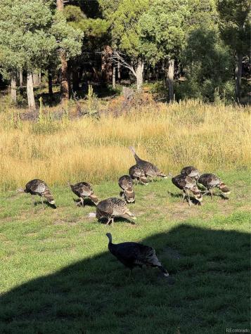 234 Bremer Road Howard CO 81233