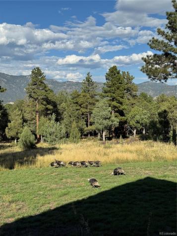 234 Bremer Road Howard CO 81233