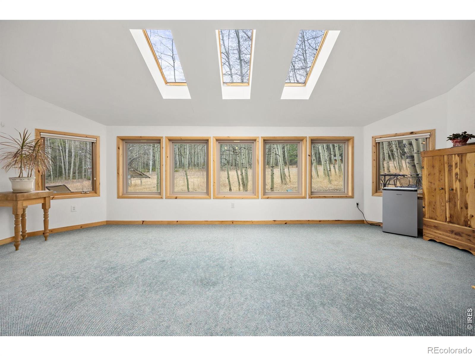 438 N County Road Rollinsville CO 80474