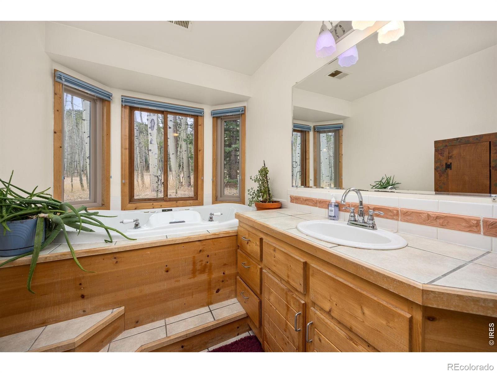 438 N County Road Rollinsville CO 80474