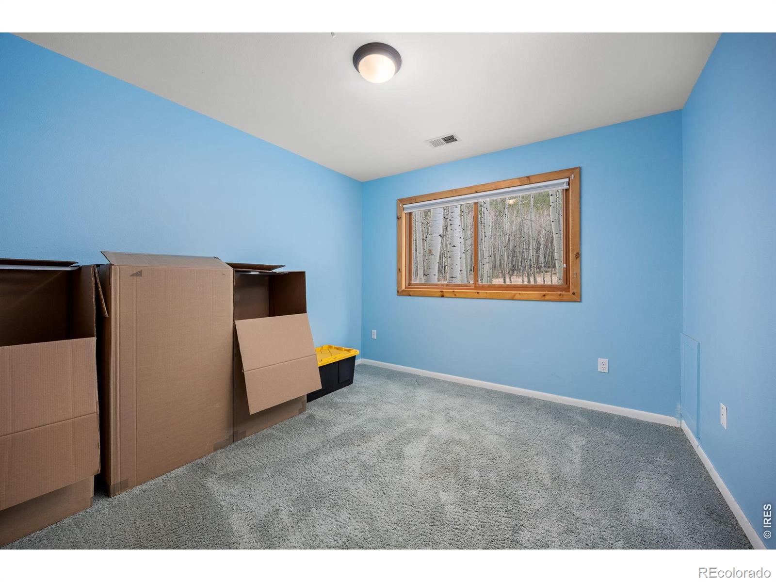 438 N County Road Rollinsville CO 80474