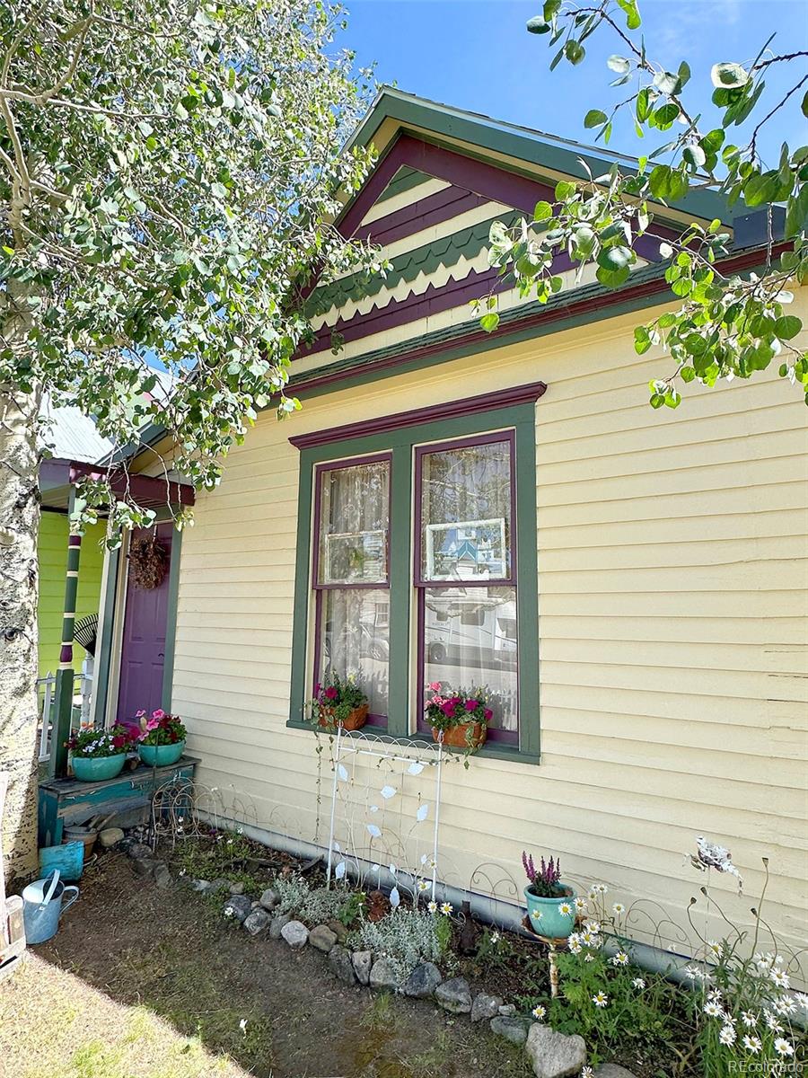 419 E 10th Street Leadville CO 80461