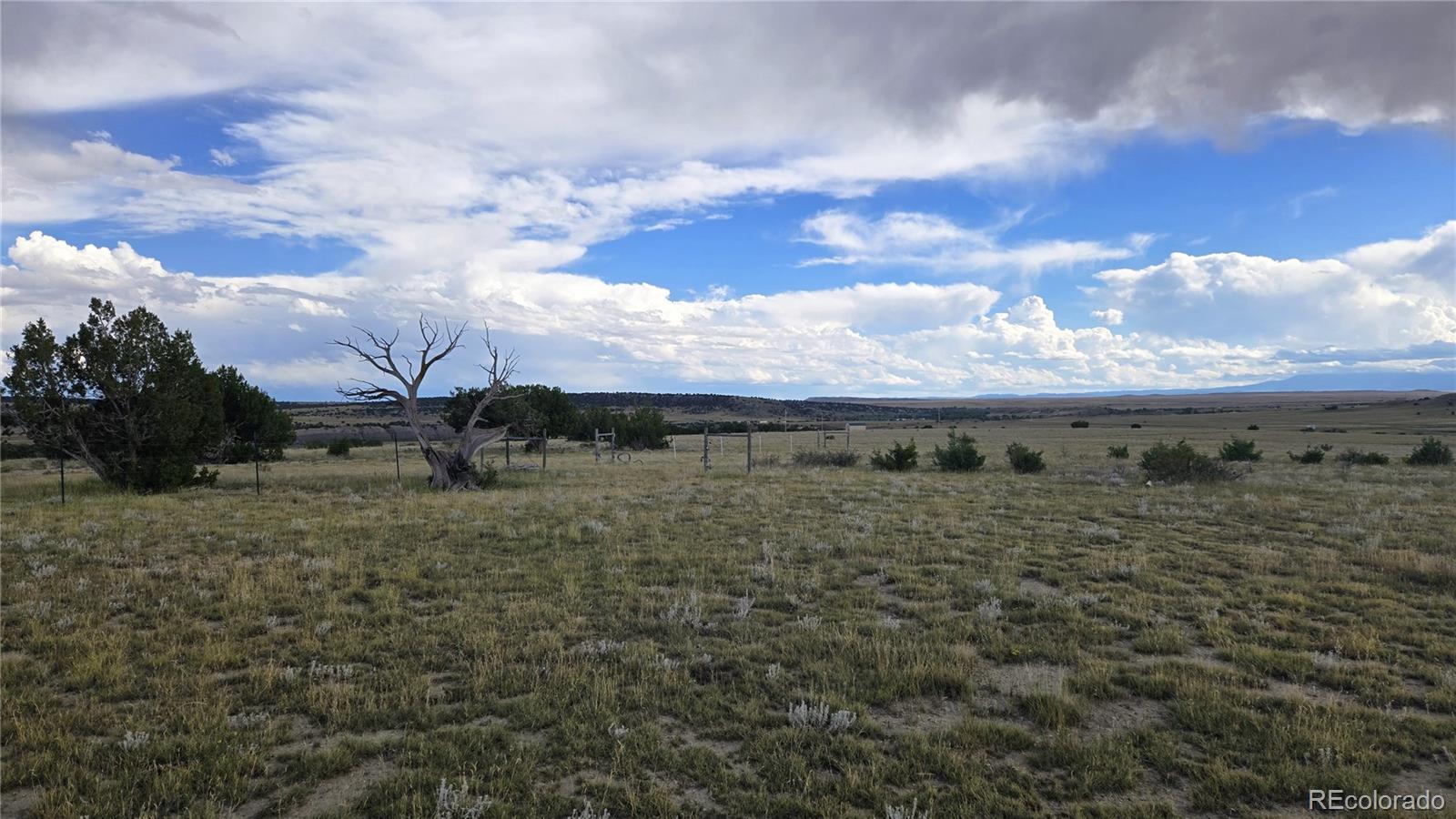 1428 Carlson Road Rye CO 81069