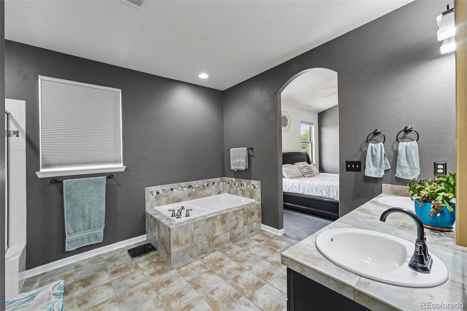 4530 Carmichael Court Brighton CO 80603
