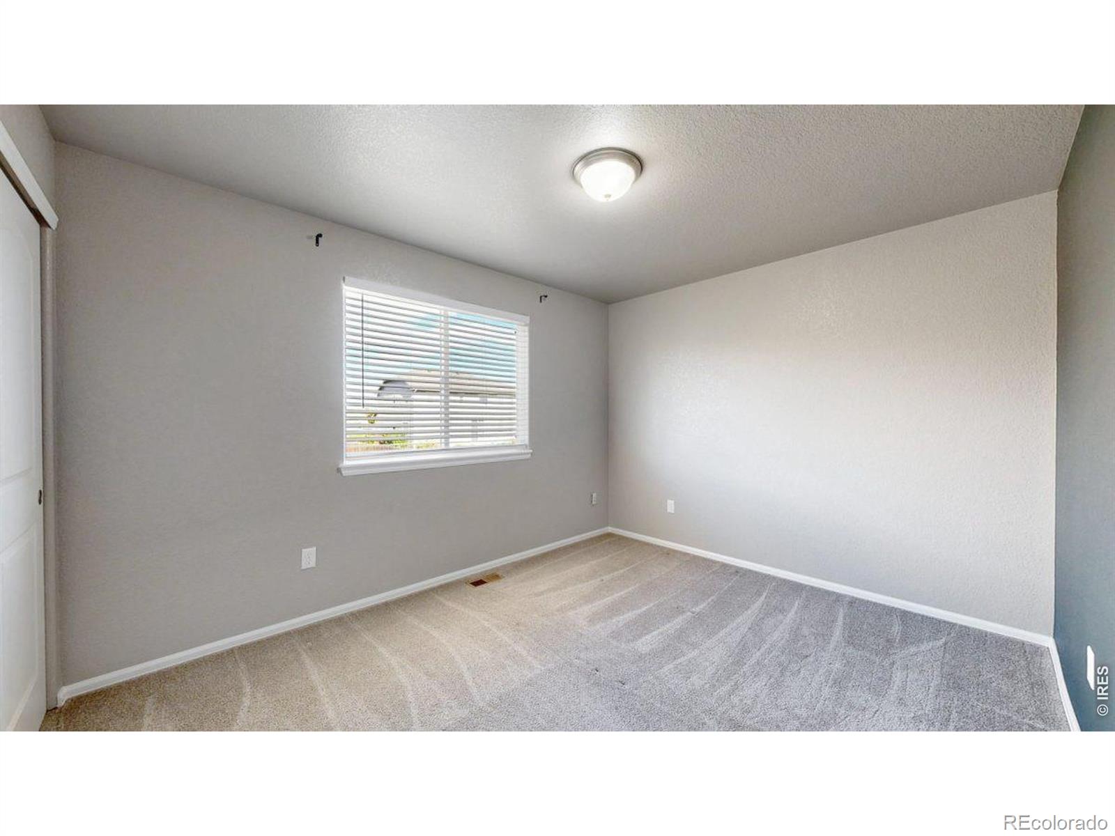 7383 Andover Street Wellington CO 80549