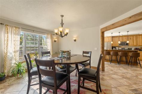 1788 Autumn Drive Leadville CO 80461