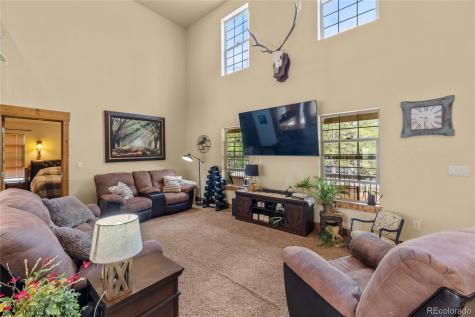 1788 Autumn Drive Leadville CO 80461