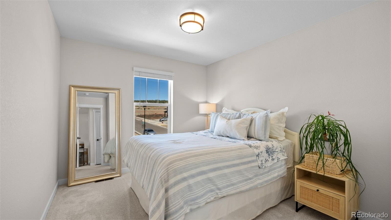 7011 Knapp Drive Colorado Springs CO 80924